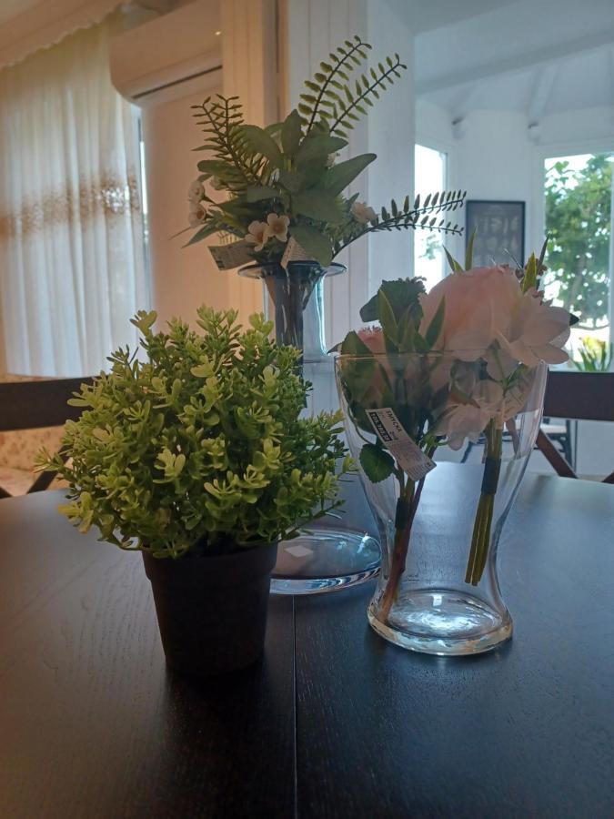 Apartament Nuevo Loft El Carpintero Vejer de la Frontera Zewnętrze zdjęcie