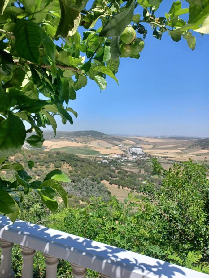 Apartament Nuevo Loft El Carpintero Vejer de la Frontera Zewnętrze zdjęcie